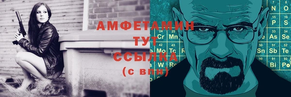 амф Арсеньев