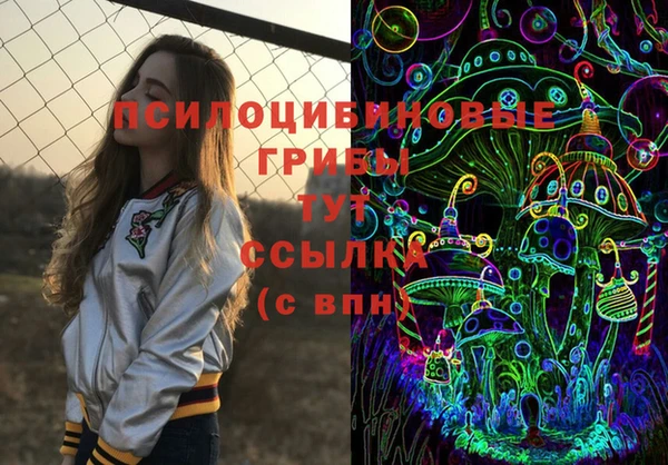 амф Арсеньев