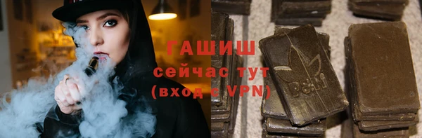 индика Аркадак
