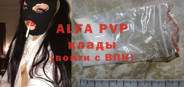 индика Аркадак