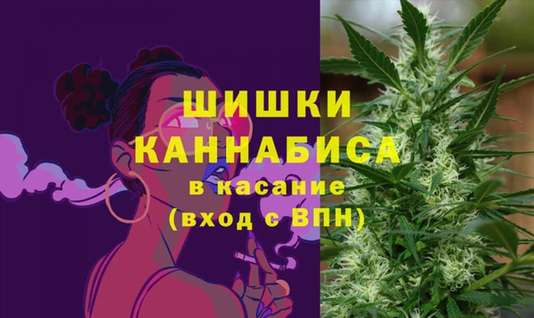 индика Аркадак