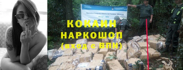 индика Аркадак
