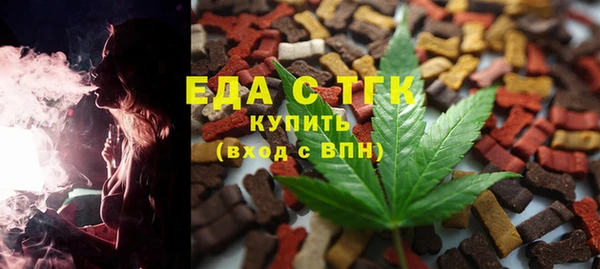 индика Аркадак