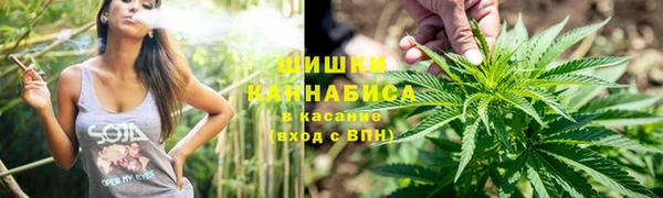 индика Аркадак