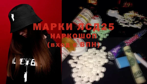 индика Аркадак