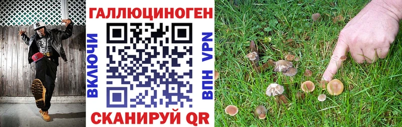 Купить где  Зарайск  Псилоцибиновые грибы прущие грибы 